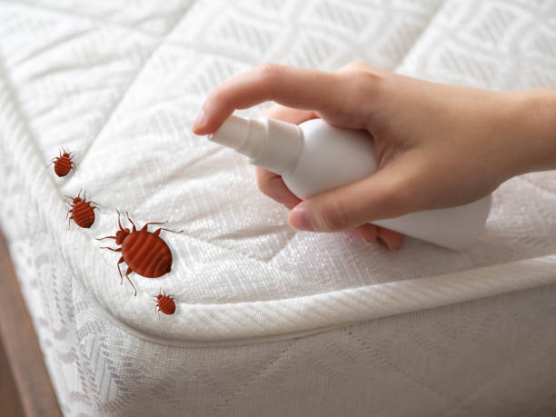 Reliable Coldwater, MI Pest control Solutions